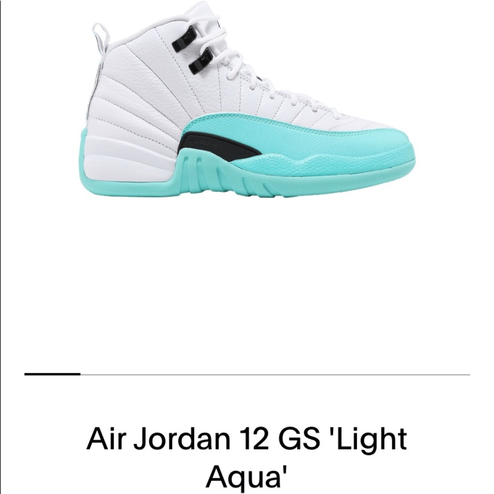 Air Jordan 12s